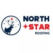 north-star-roofing