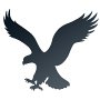 american-eagle-outfitters