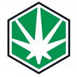 thrive-cannabis-marketplace