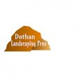 dothan-landscaping-pros