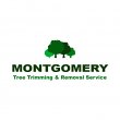 montgomery-tree-trimming-removal-service