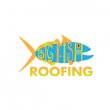 big-fish-roofing