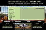evachek-s-tree-service