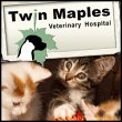 twin-maples-veterinary-hospital