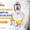 8_CleanWay Restoration _ Construction_Black Mold Removal Specialists in Jonesboro.jpg