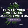 3_Abatin Wellness Center_Elevate Your Wellness Journey With Us.png