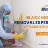 5_CleanWay Restoration _ Construction_Black Mold Removal Experts at Your Service.jpg